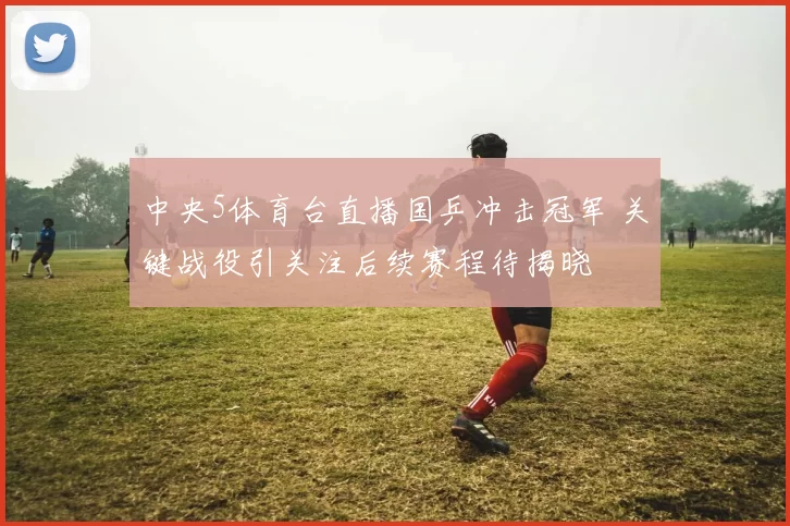 中央5体育台直播国乒冲击冠军 关键战役引关注后续赛程待揭晓