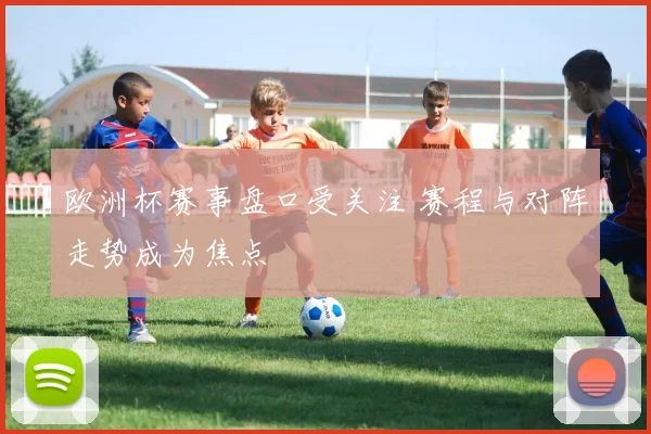 欧洲杯赛事盘口受关注 赛程与对阵走势成为焦点