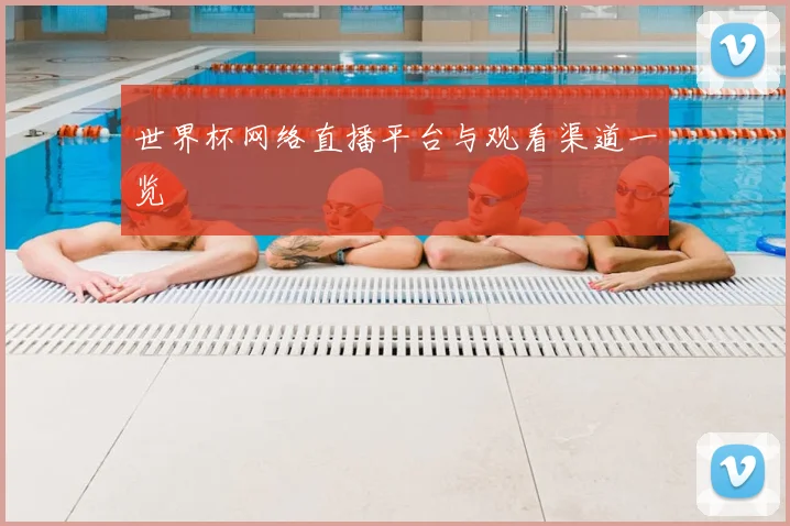 世界杯网络直播平台与观看渠道一览