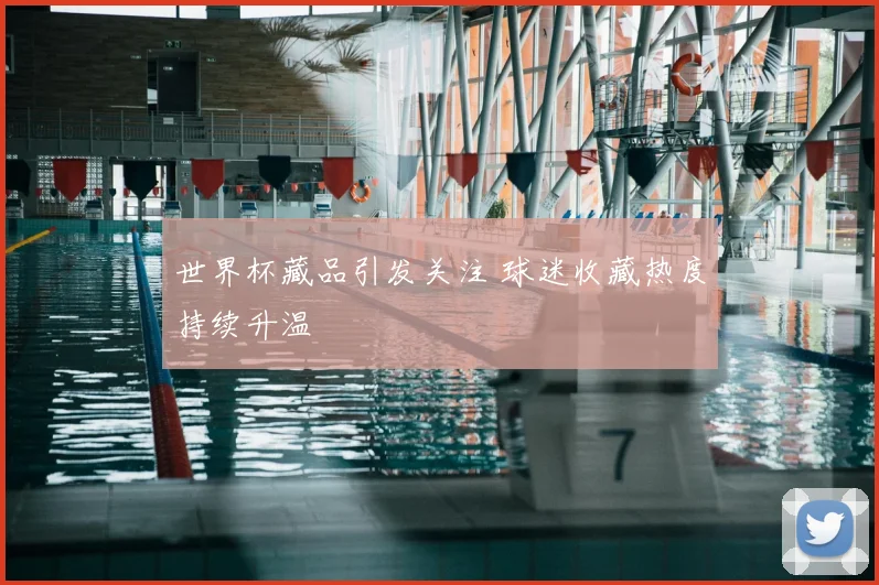 世界杯藏品引发关注 球迷收藏热度持续升温