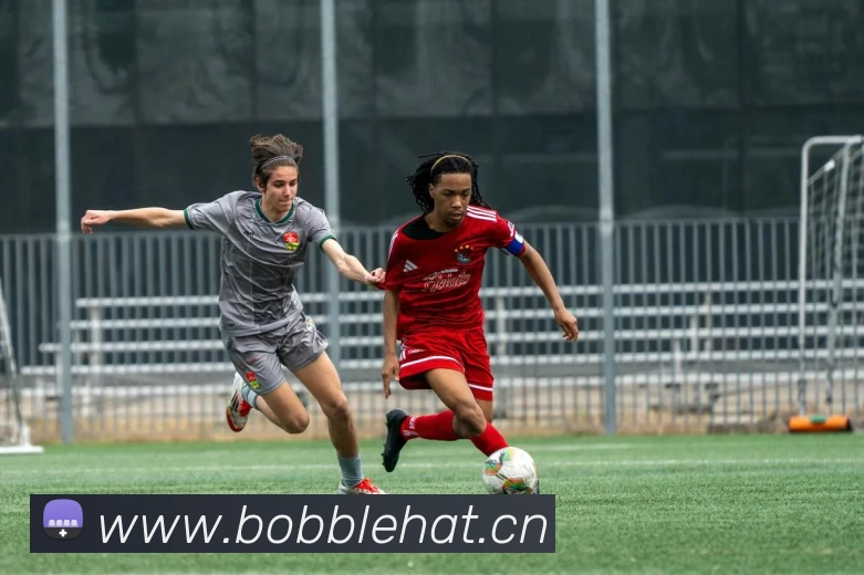 俄罗斯世界杯中国官网平台生态图